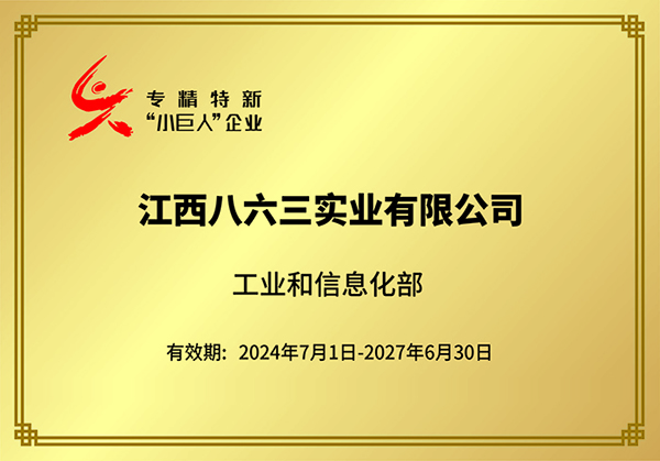 国家专精特新小巨人企业2024-2027